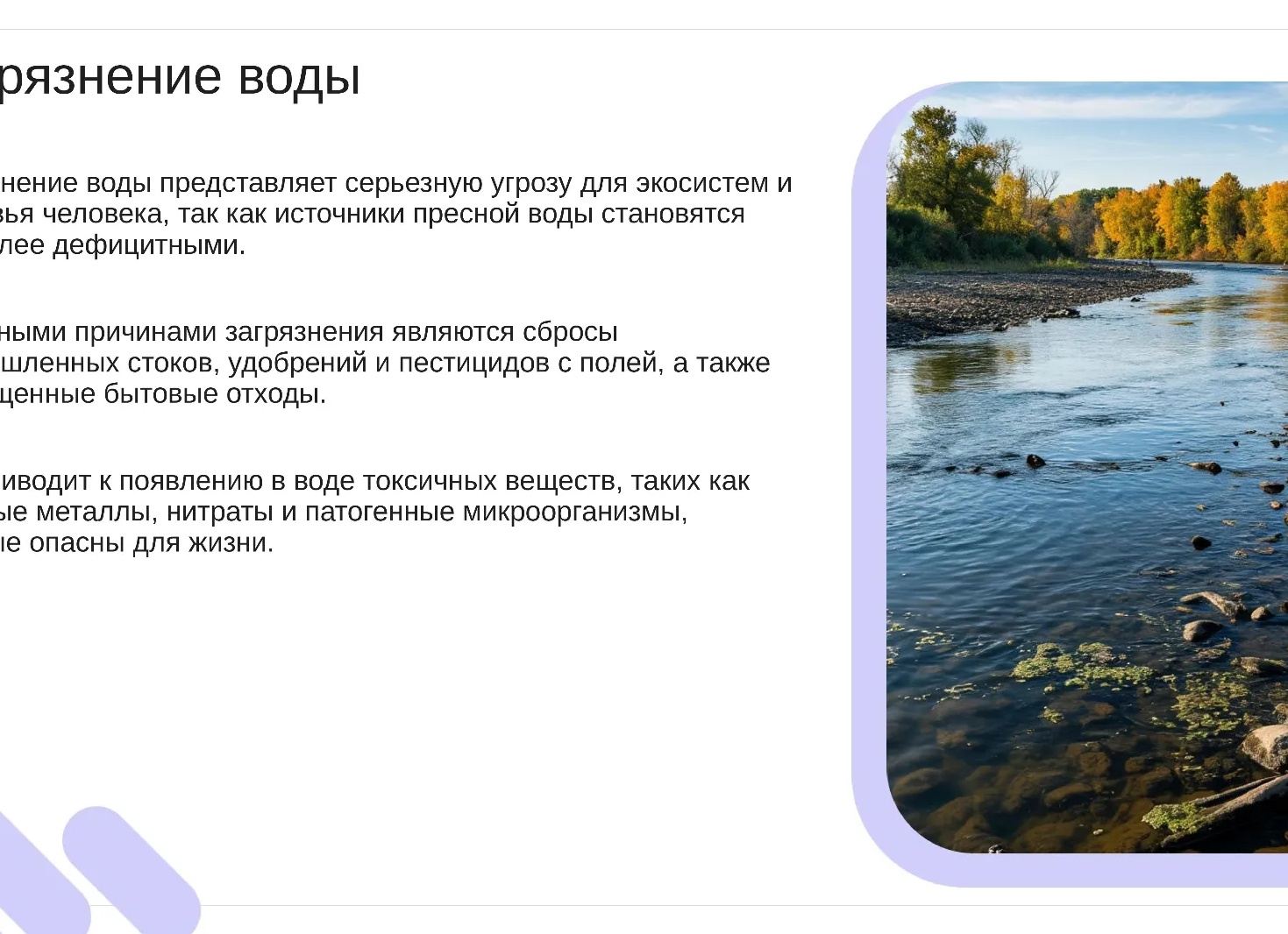 Использование удобрений и пестицидов привело к снижению качества воды в Черном море