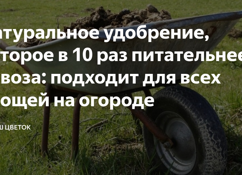 Натуральное удобрение, которое в 10 раз питательнее навоза: подходит для всех овощей на огороде