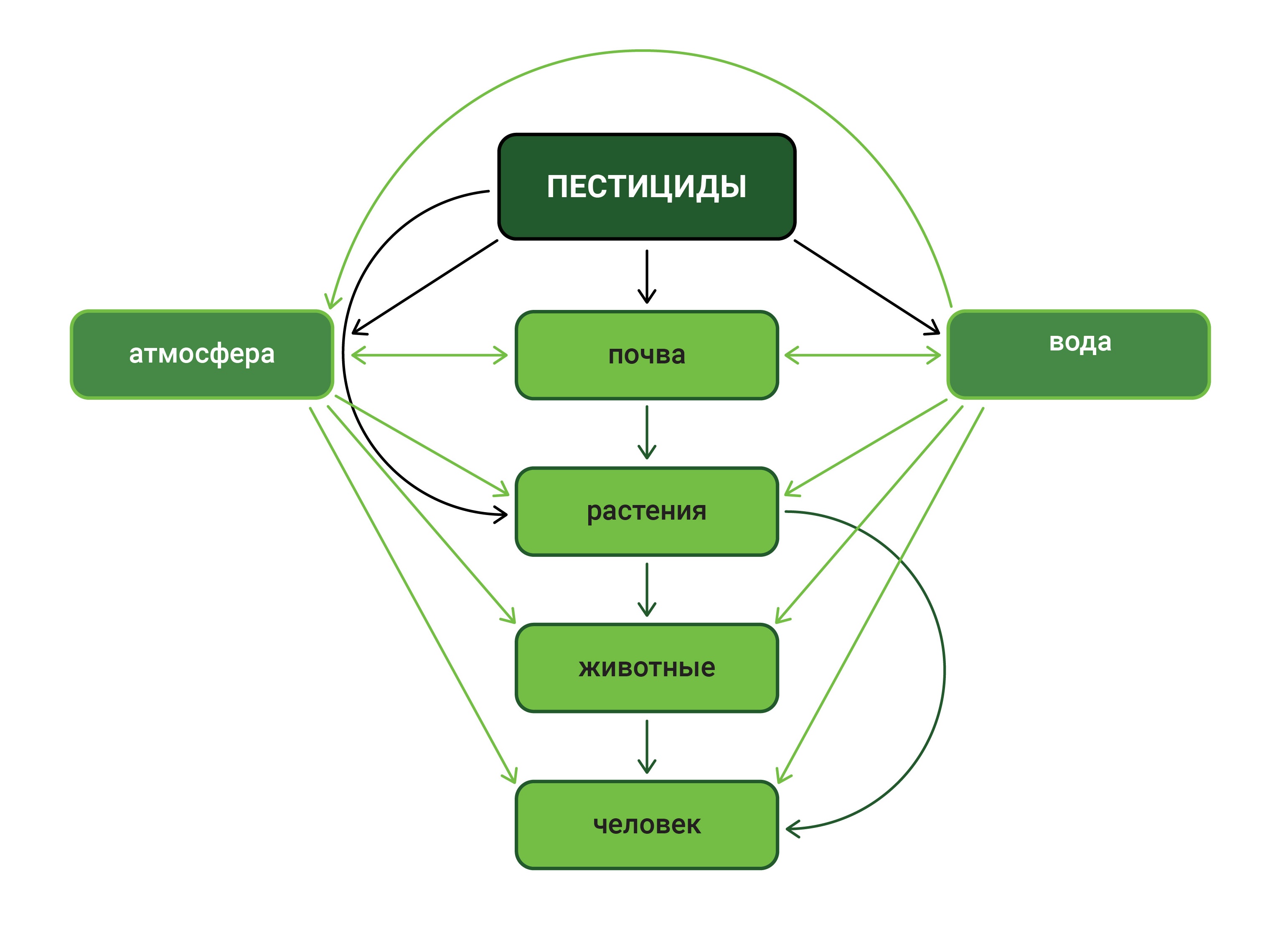 Последствия применения пестицидов.