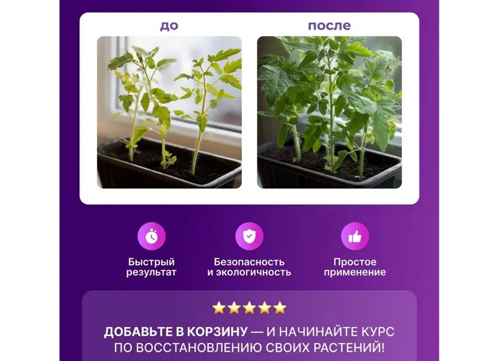 🌱 Биоприлипатели: Устойчивый Курс на Экологию 🌱