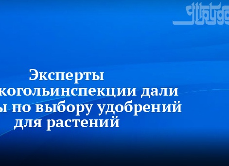 Эксперты Госалкогольинспекции дали советы по выбору удобрений для растений