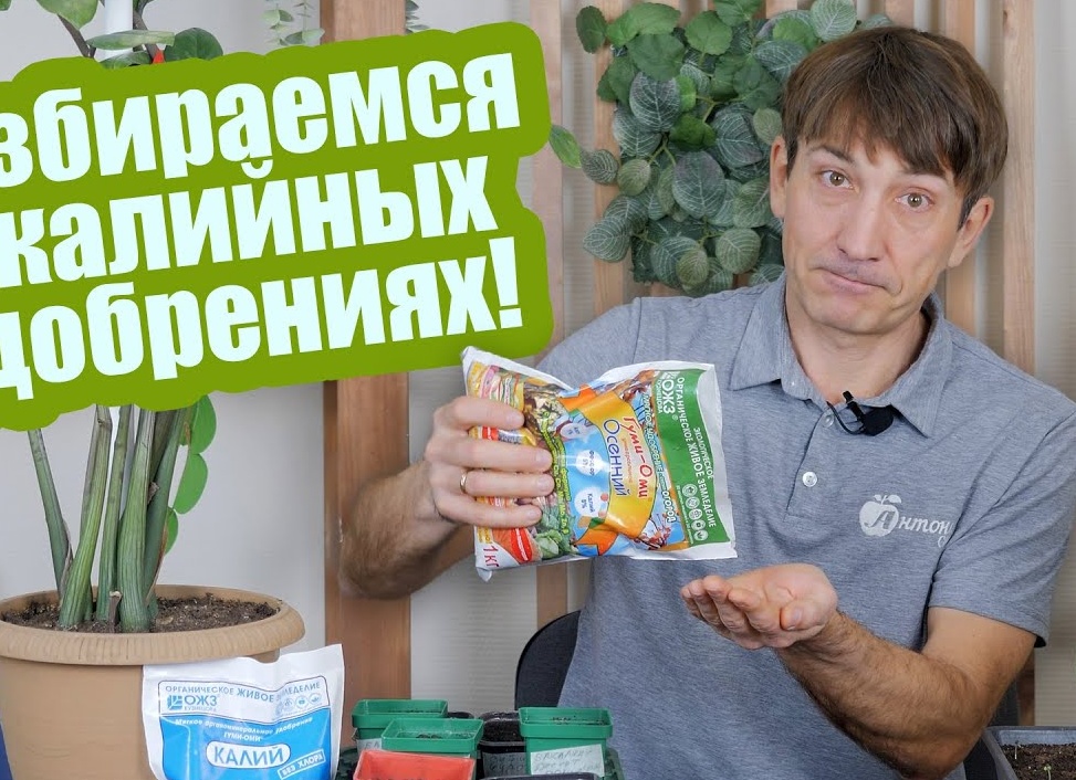 Разбираемся с КАЛИЙНЫМИ УДОБРЕНИЯМИ (сернокислый калий, хлористый, селитра калиевая, гумат калия, калимаг...): КАКИЕ выбрать и КОГДА вносить