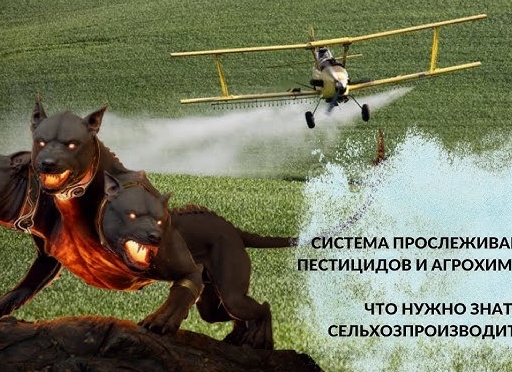 Пестициды и собаки - что нужно знать