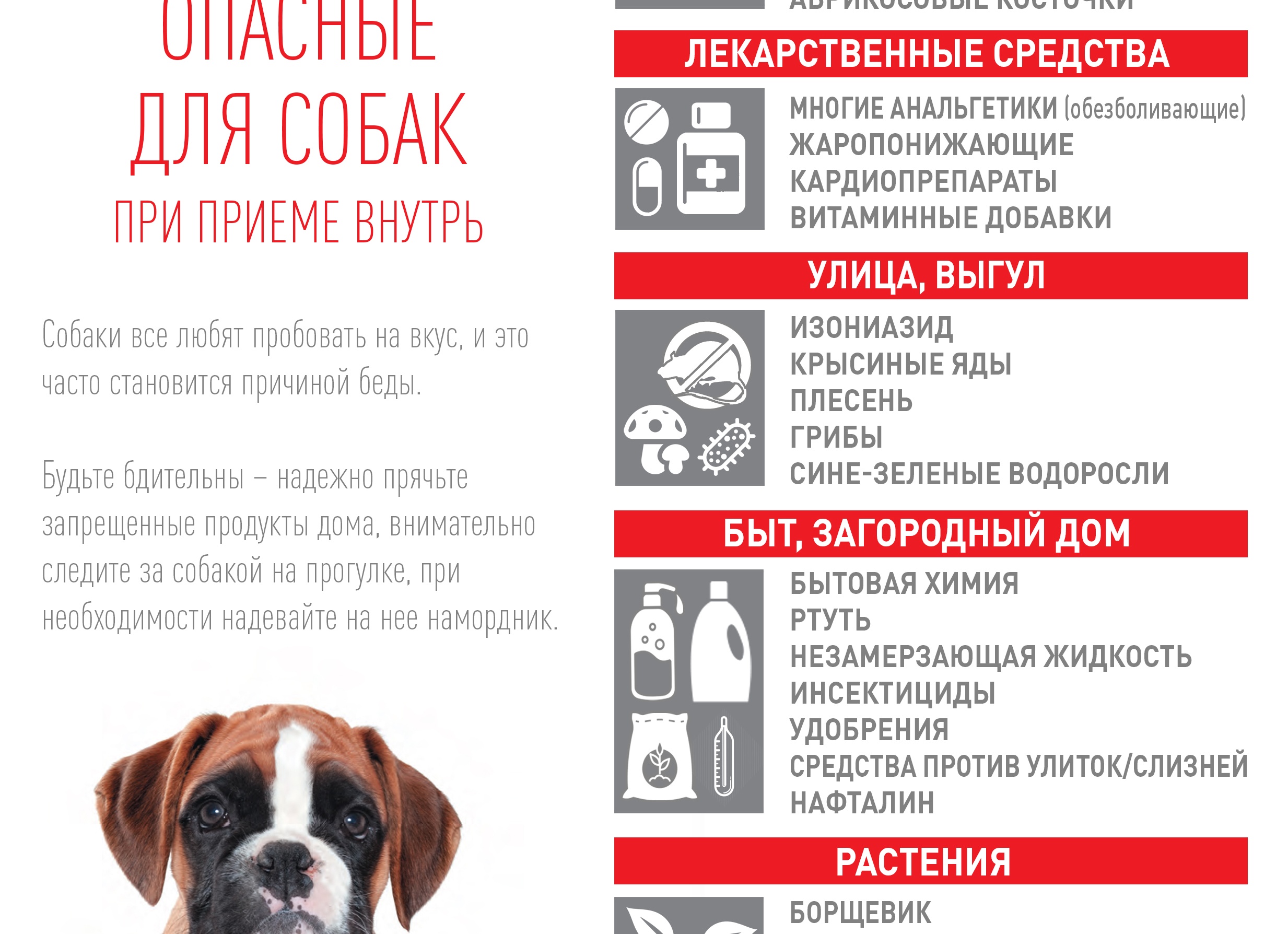 Какие удобрения опасны для собак