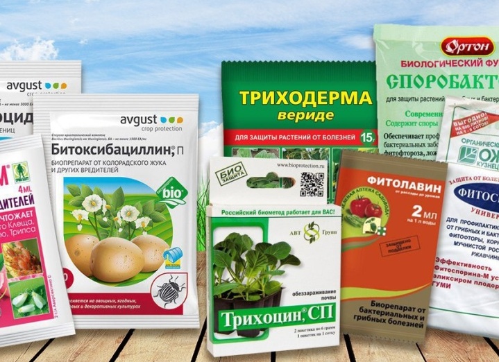 Основные препараты для защиты сада и их аналоги в супер-таблице!