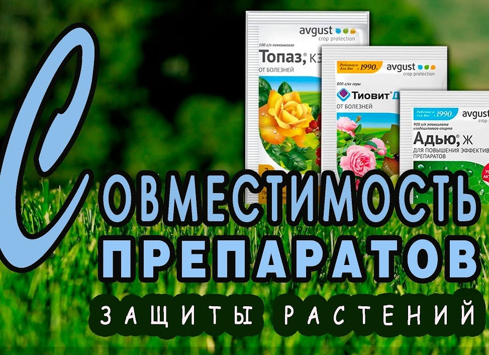 Баковые смеси из биопрепаратов: как и что надо смешивать. Памятка дачнику