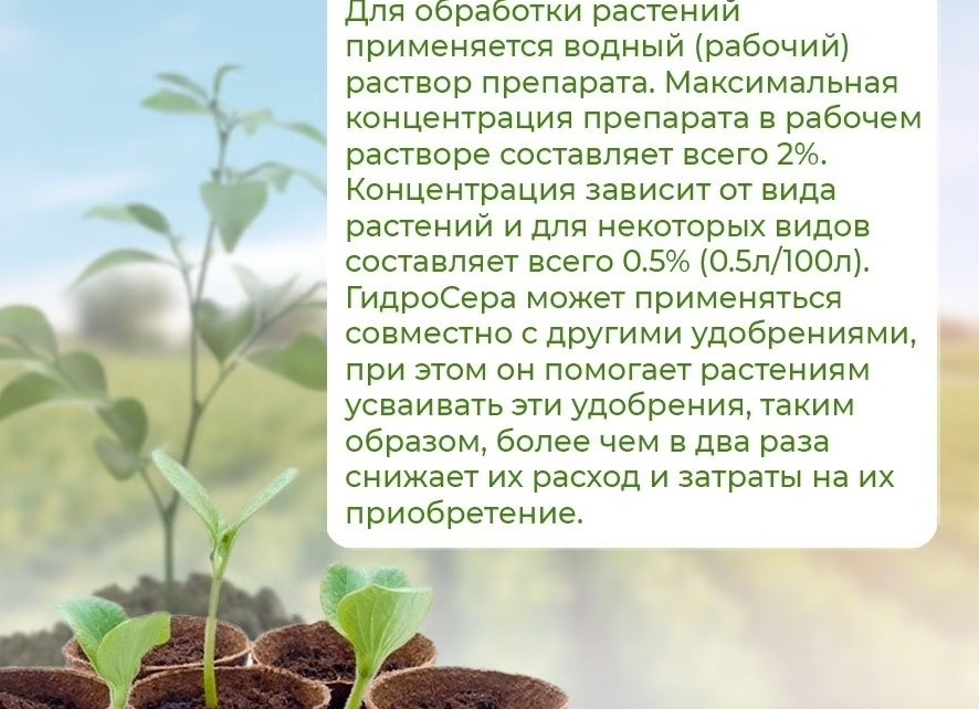 Кто помогает растениям усваивать минеральные удобрения? Почвенные бактерии