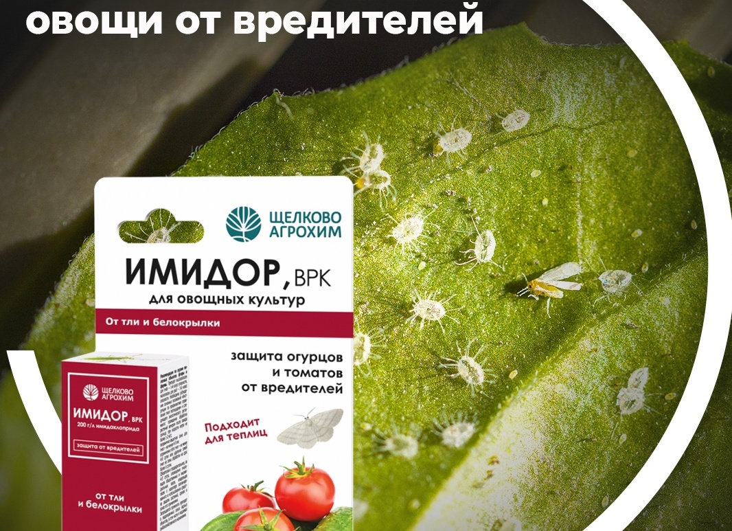 Как защитить овощи от вредителей с помощью натуральных пестицидов — советы для садоводов