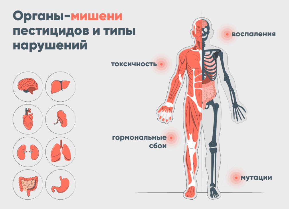 Вред пестицидов для человека