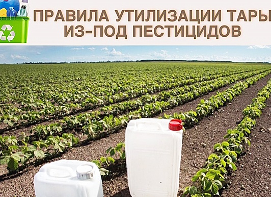 Россельхозцентр напоминает о правилах утилизации тары