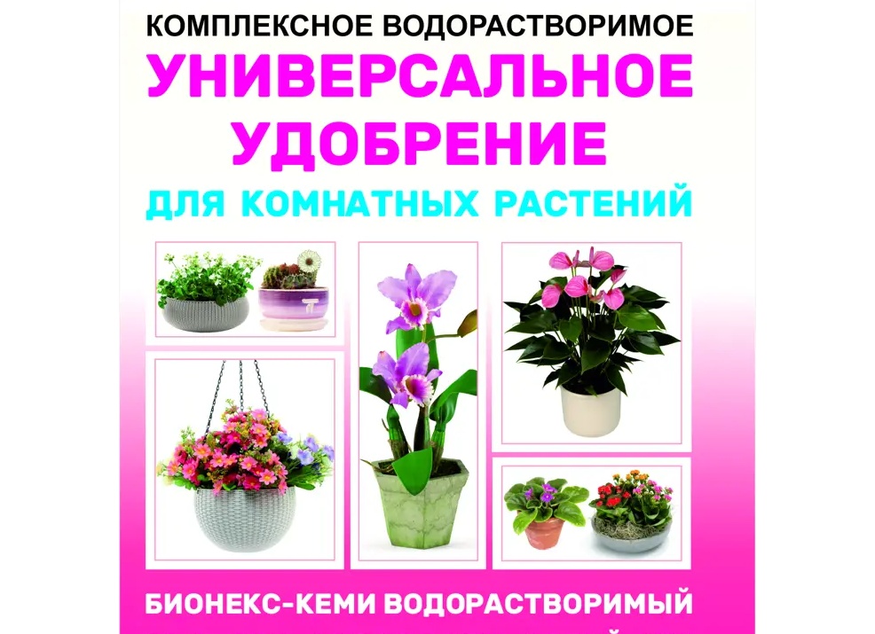 Химический ожог растений от препаратов. Наша летняя ошибка