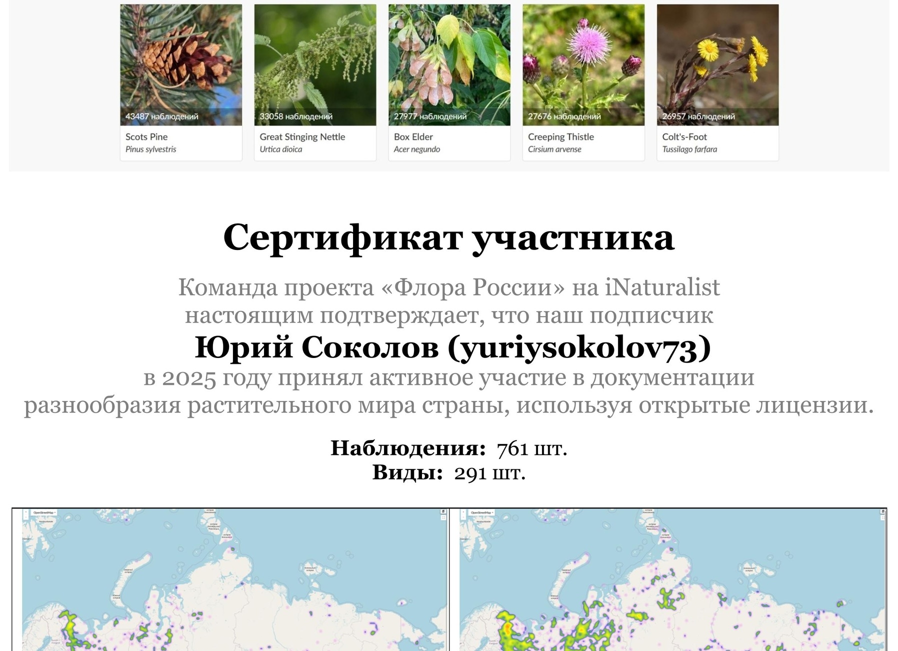 🌱 Массовое исчезновение птиц связано с использованием пестицидов